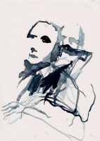 http://www.actionaqua.com/files/gimgs/th-94_portrait 10.jpg